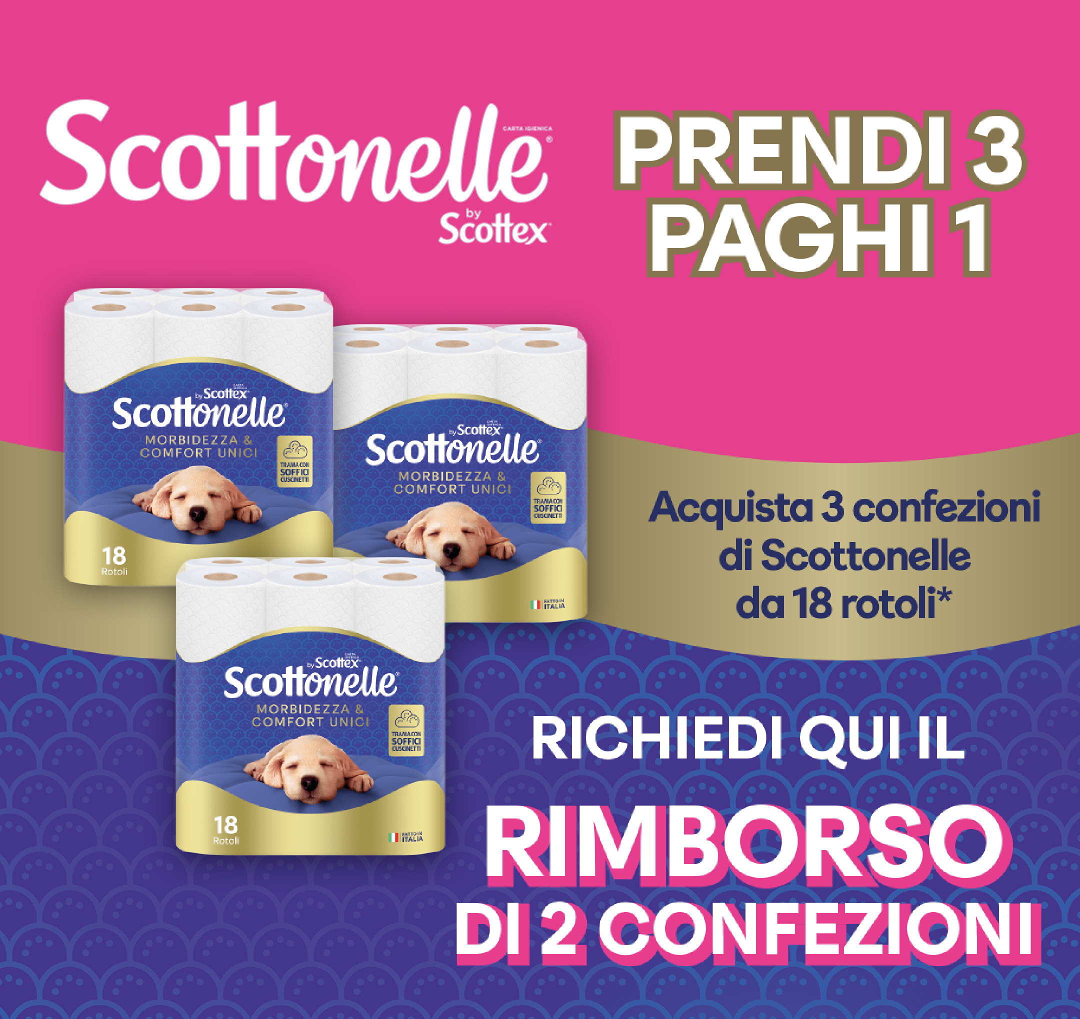 Operazione premi Premiati con Scottex Tutto Fare